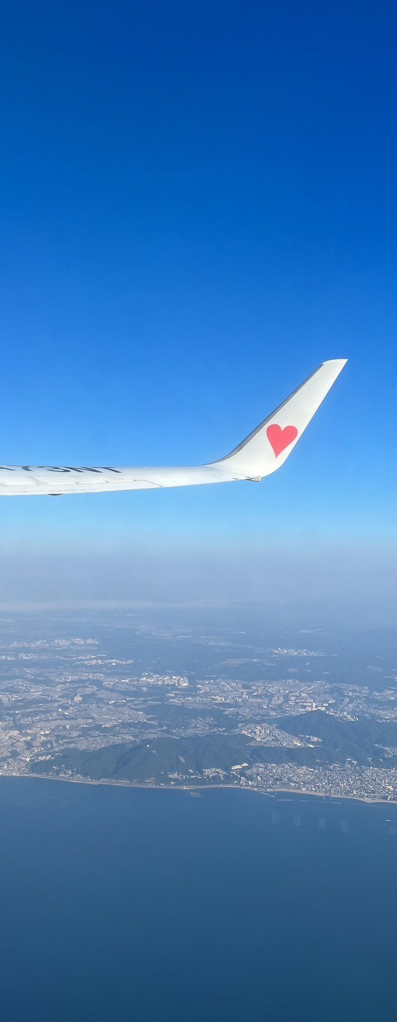 Okinawa_Airplane