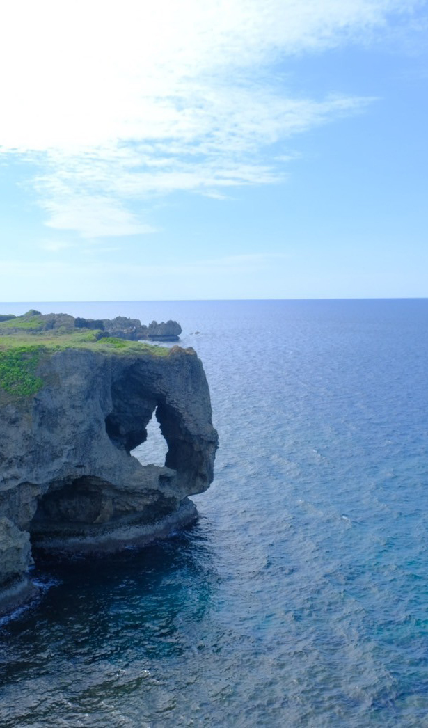 Okinawa_ElephantTrunk