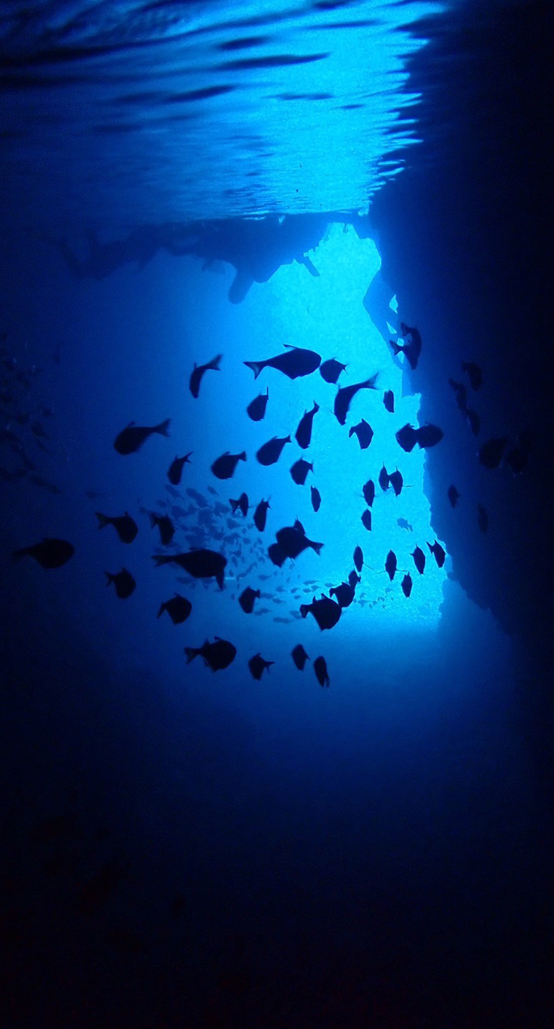 ScubaDiving_BlueGrotto