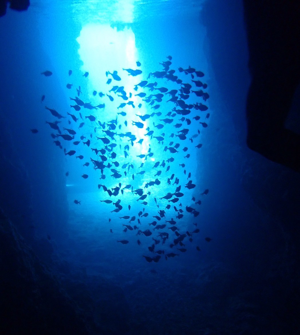 ScubaDiving_BlueGrotto02