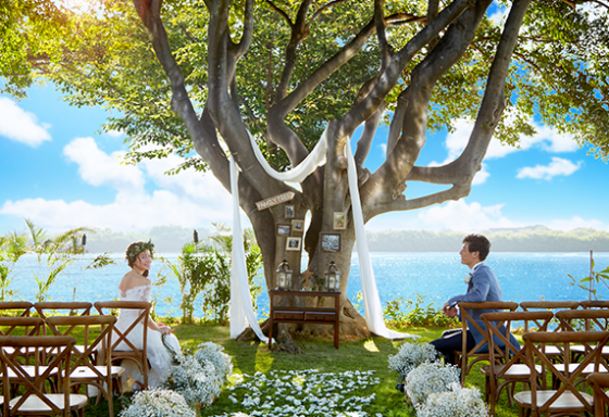 プルメリアガーデン ゴールドプラン