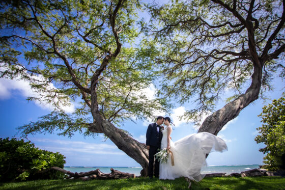 プライベートガーデンの大きな木の下でおでこをくっつける2人。新婦のドレスはロングトレーンをなびかせ、まるで時が止まったかのよう。