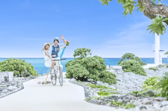 サンプルイメージ