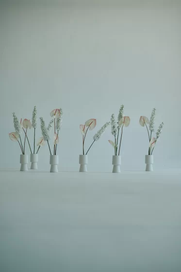サンプルイメージ