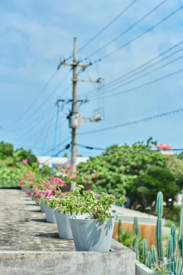 サンプルイメージ