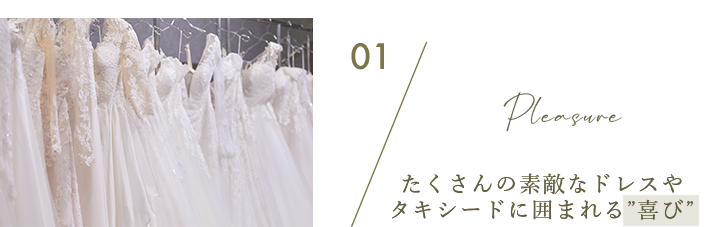 たくさんの素敵なドレス