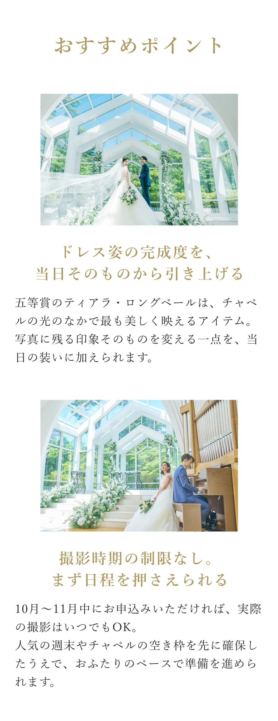 おすすめポイント：スタジオも、ロケーションも。選べるから決められる。光をていねいに設計した洗練スタジオから、紅葉や銀杏が色づく絶景ロケーションまで。おふたりの「こう撮りたい」に合わせて撮影スタイルを選べます。迷っているのが撮影内容なら、まずはご相談だけでも。