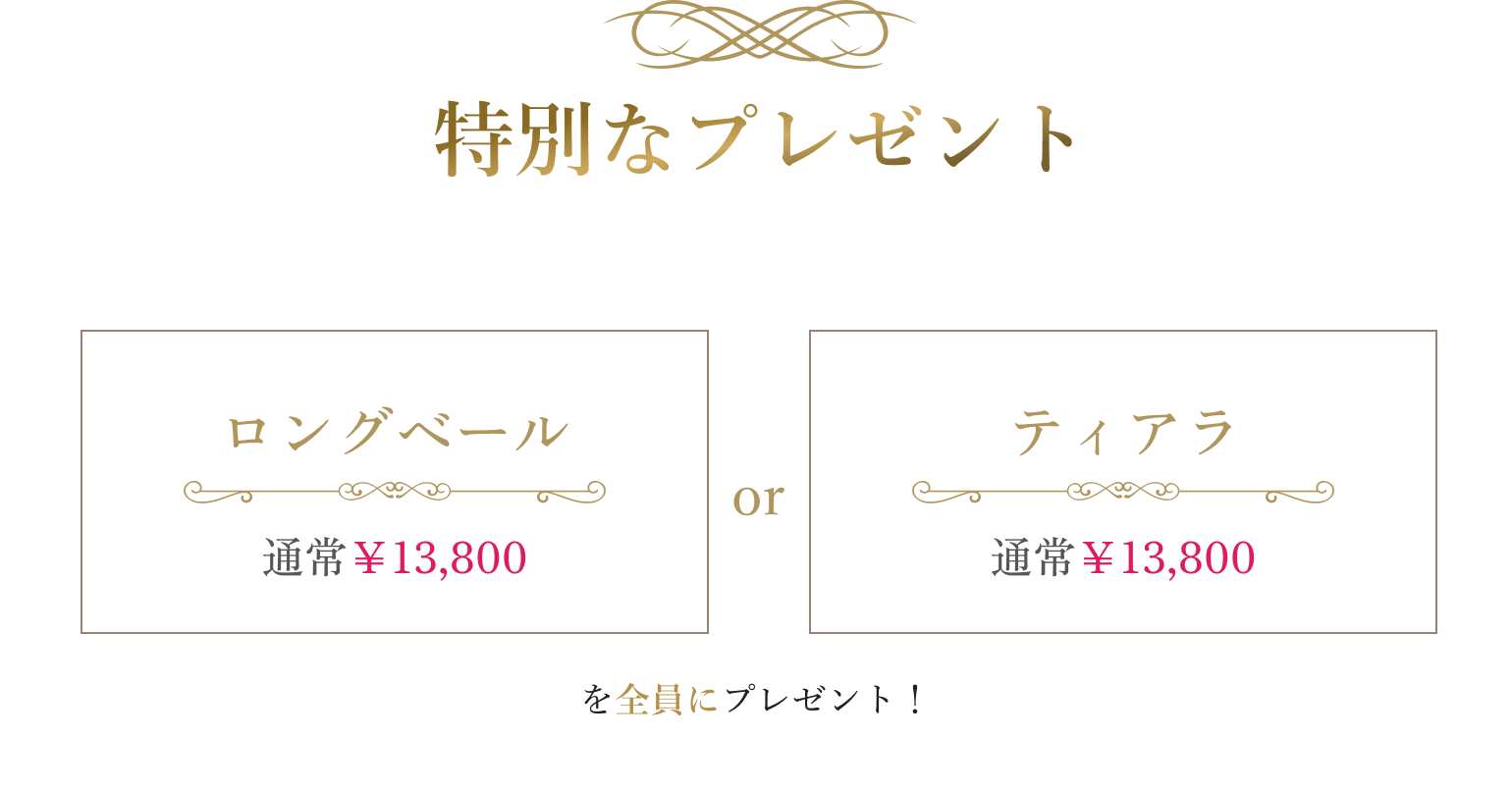 特別なプレゼント ロングベールまたはティアラを全員にプレゼント