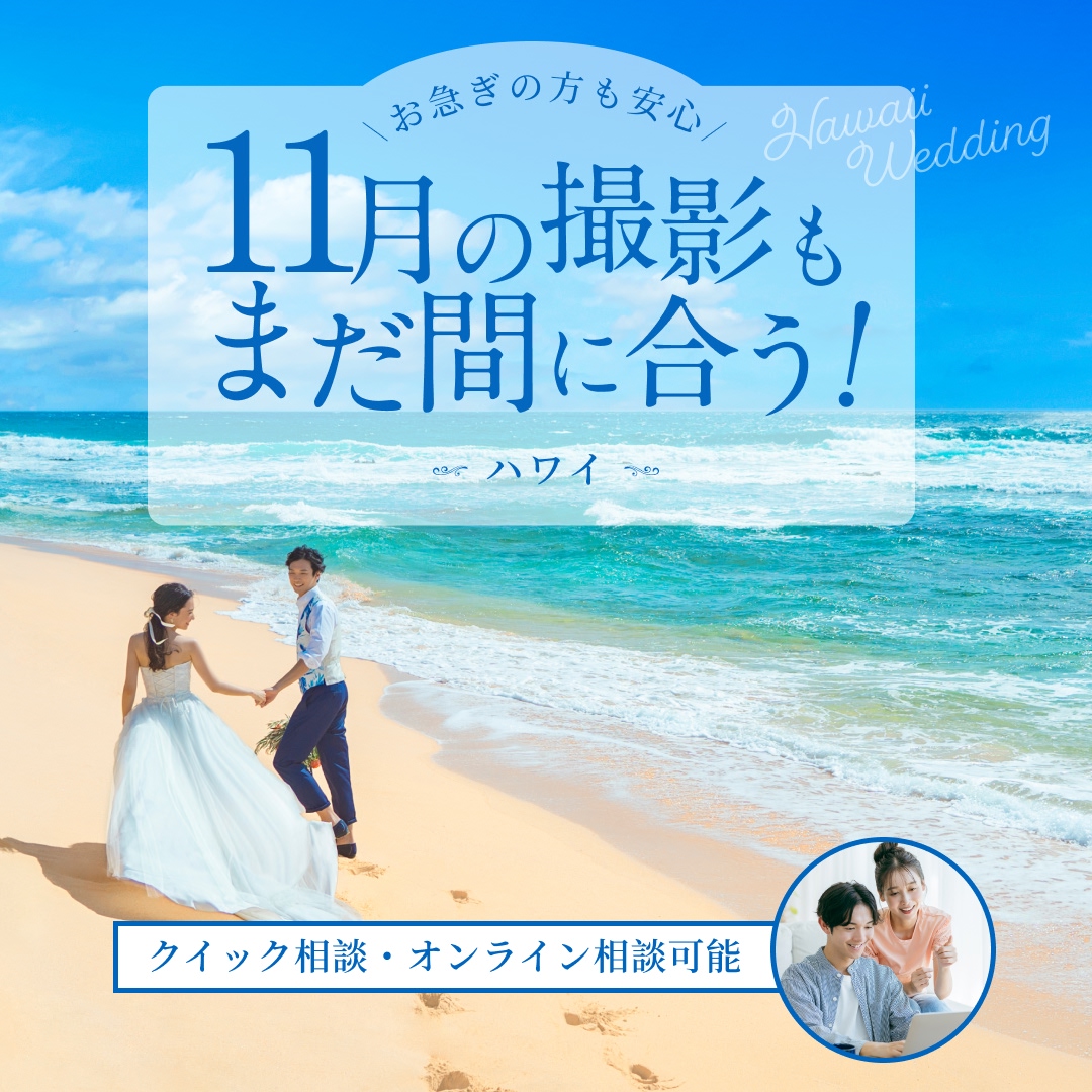 11月の撮影もまだ間に合う