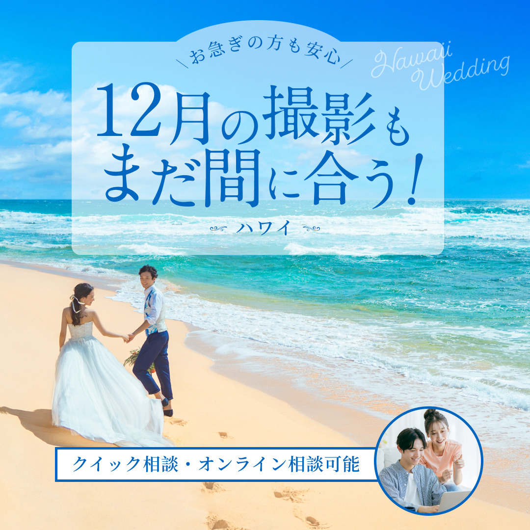 12月の撮影もまだ間に合う