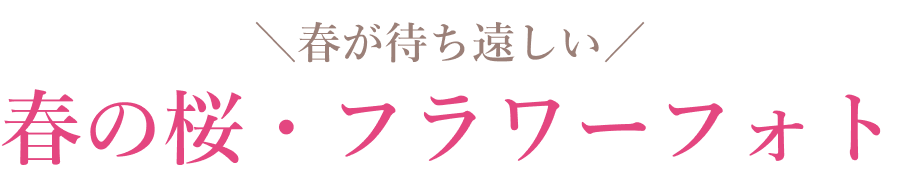 春の桜・フラワーフォト