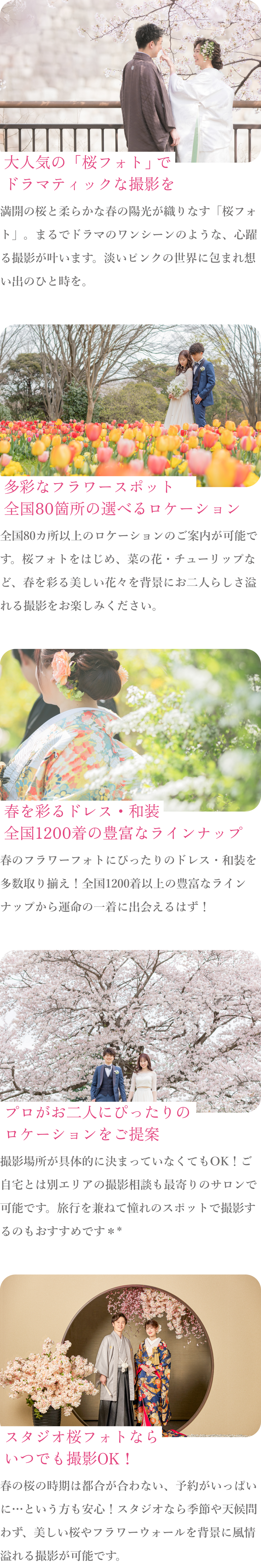 春の桜・フラワーフォト