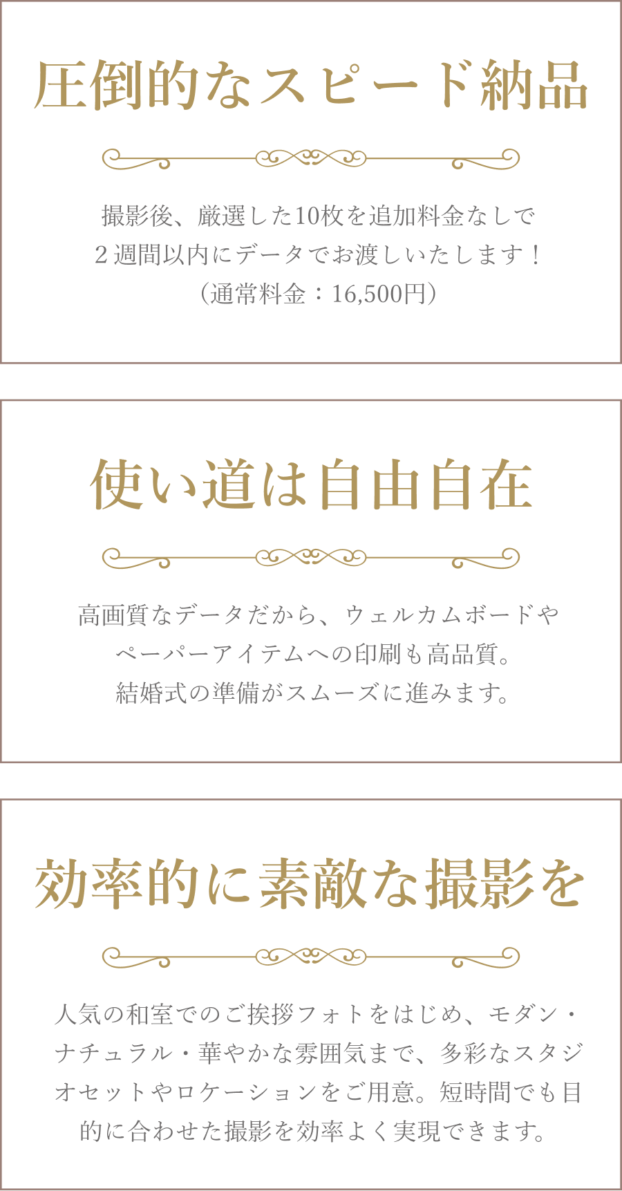 秋冬婚の方必見！年賀状にも間に合う10カット即納キャンペーン