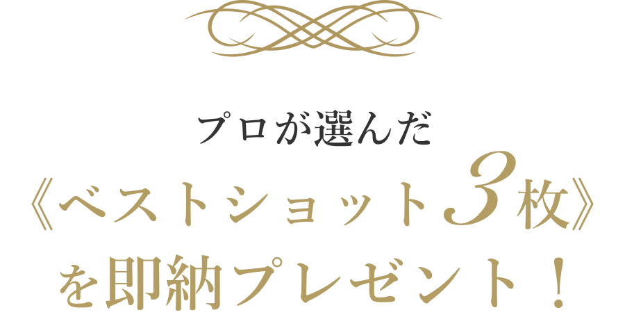 秋冬婚の方必見！年賀状にも間に合う3カット即納キャンペーン