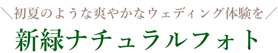 新緑ナチュラルフォト