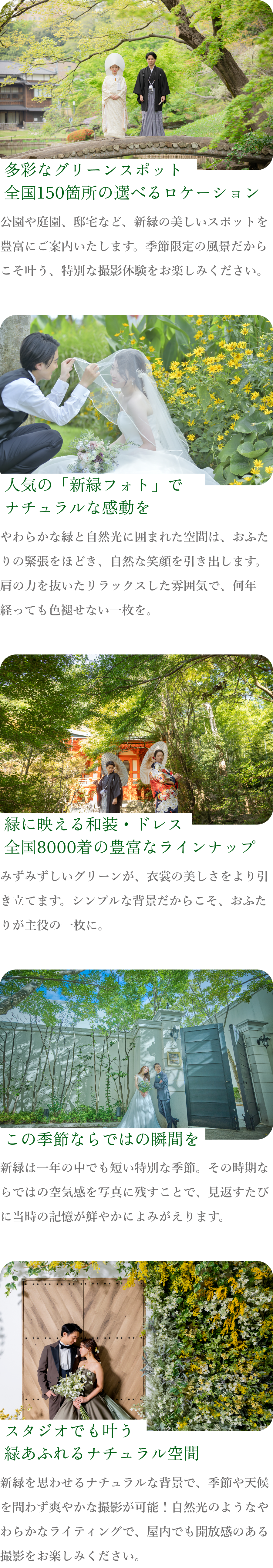 新緑ナチュラルフォト