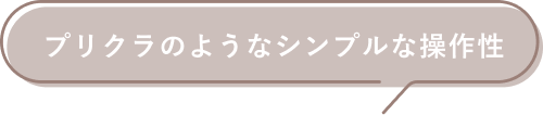 プリクラのようなシンプルな操作性