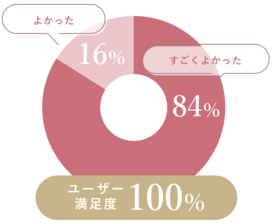 ユーザー満足度100%