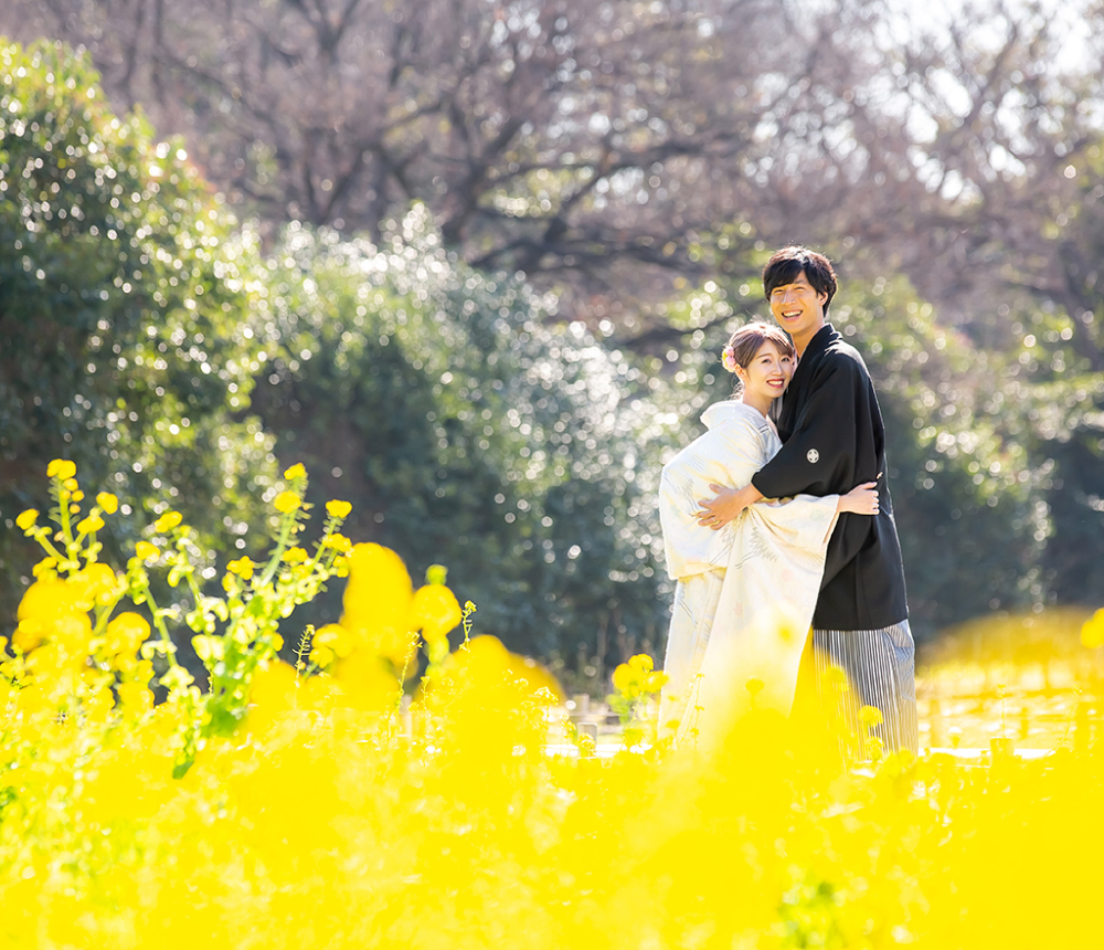 菜の花畑でのロケーション撮影