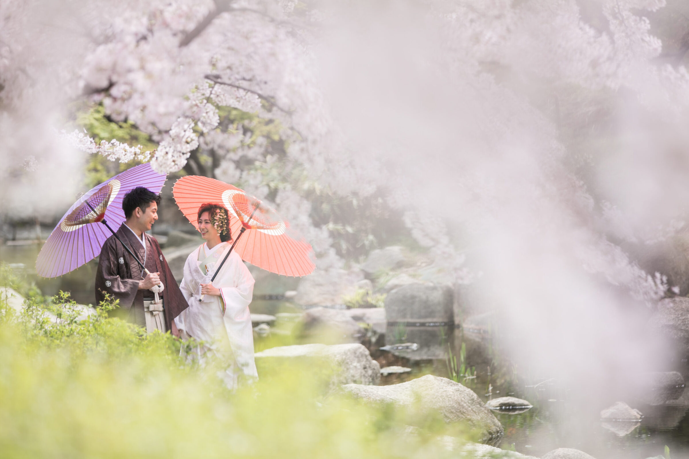 大阪城公園での桜ロケーション撮影