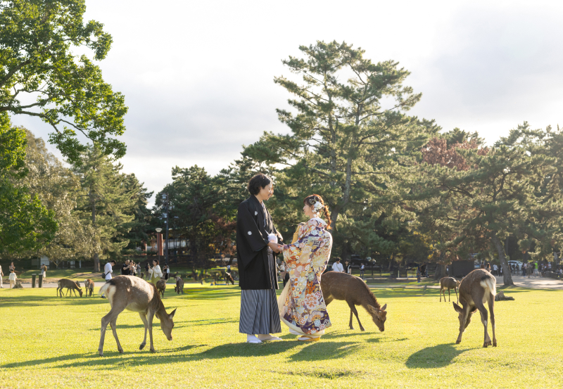 奈良公園・浮見堂