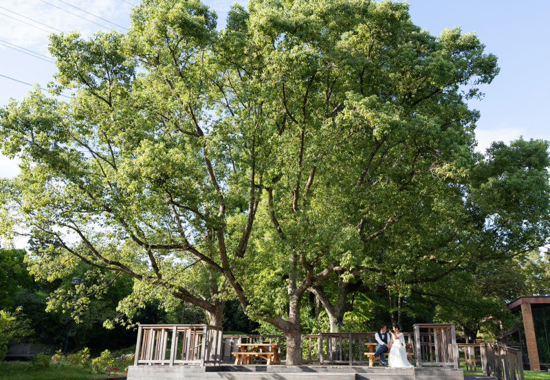 植物園(服部緑地)