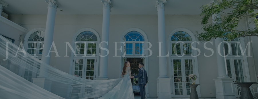 その他のスタジオ