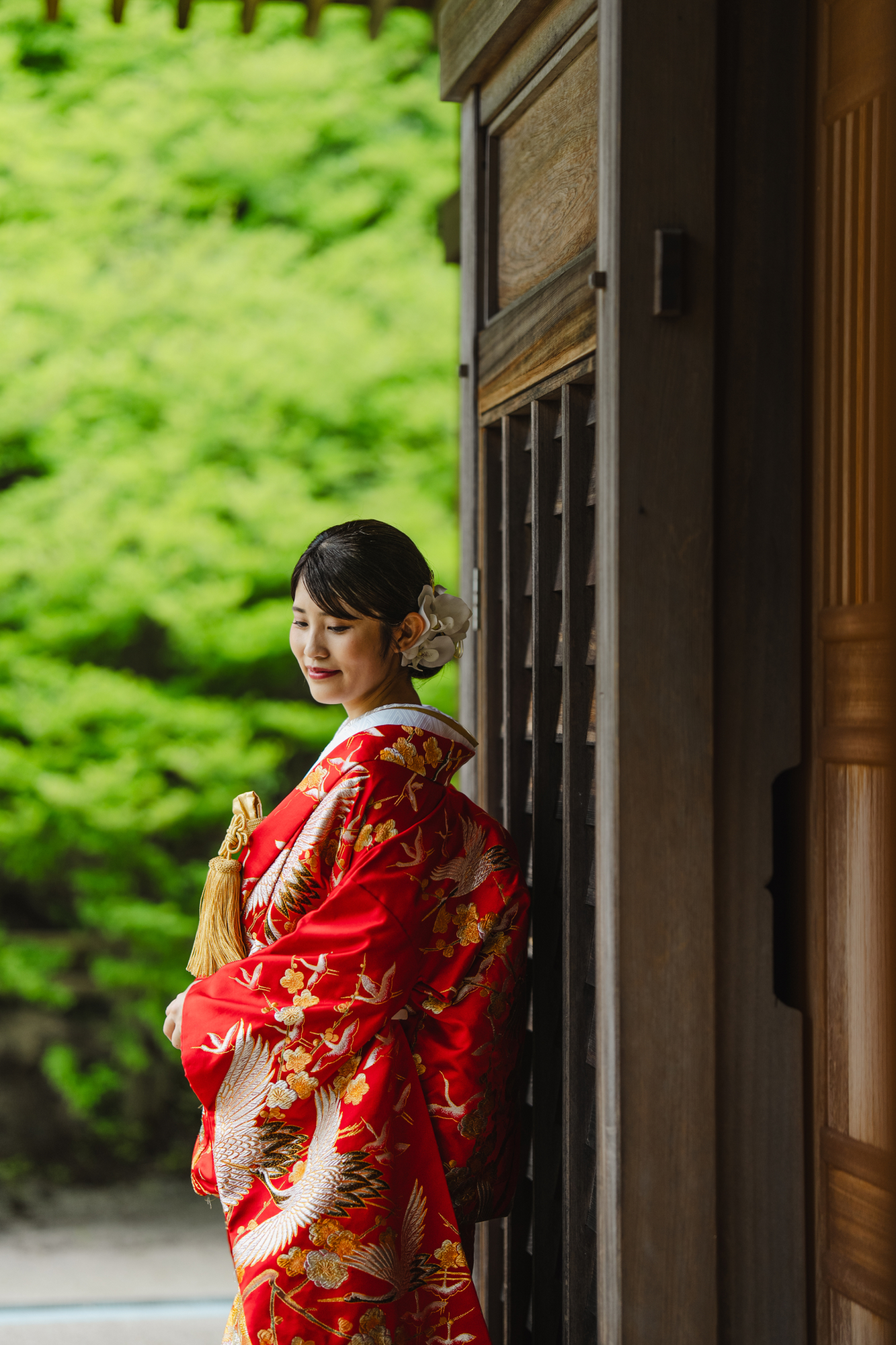 和装２着プラン