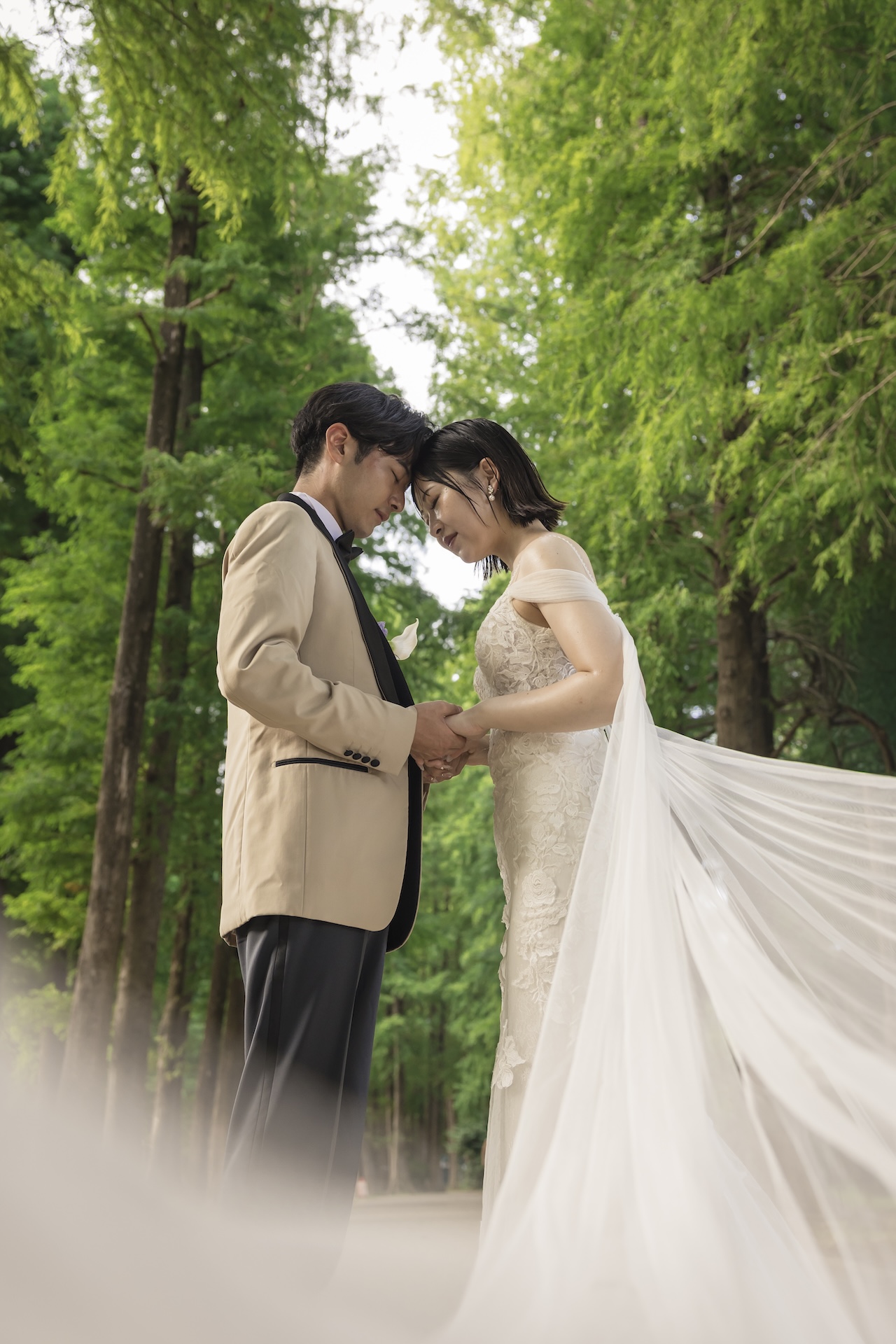 おすすめポイント