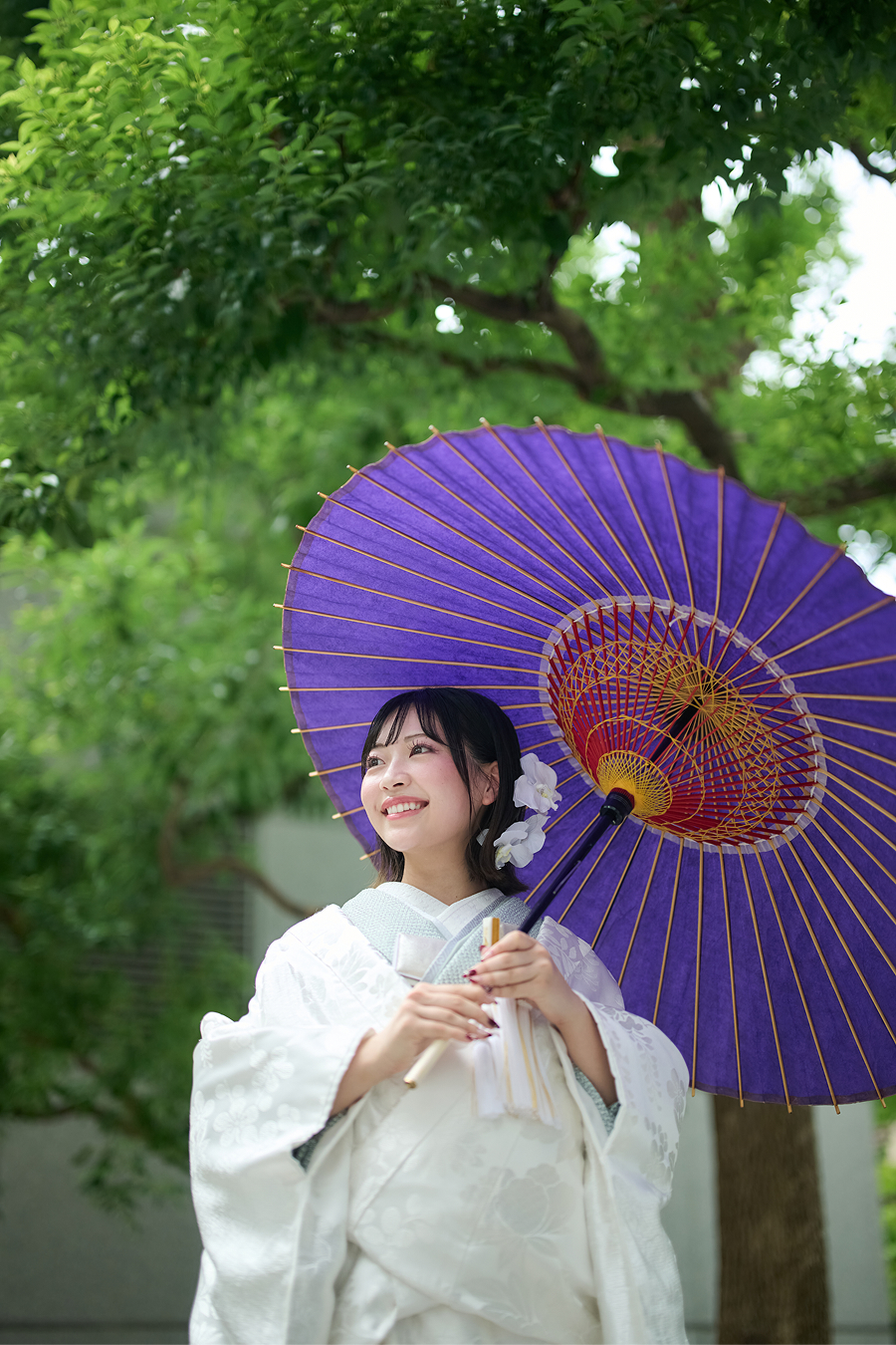 おすすめポイント