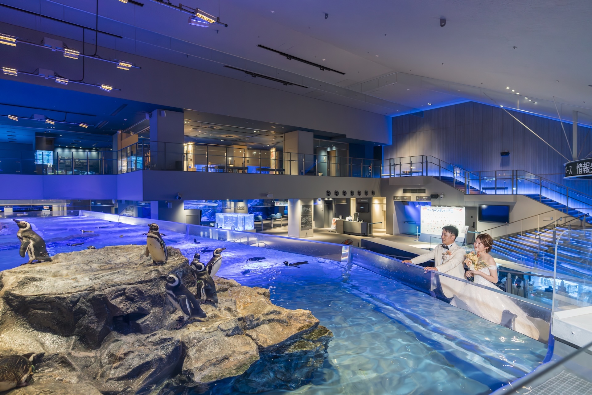 おすすめポイント