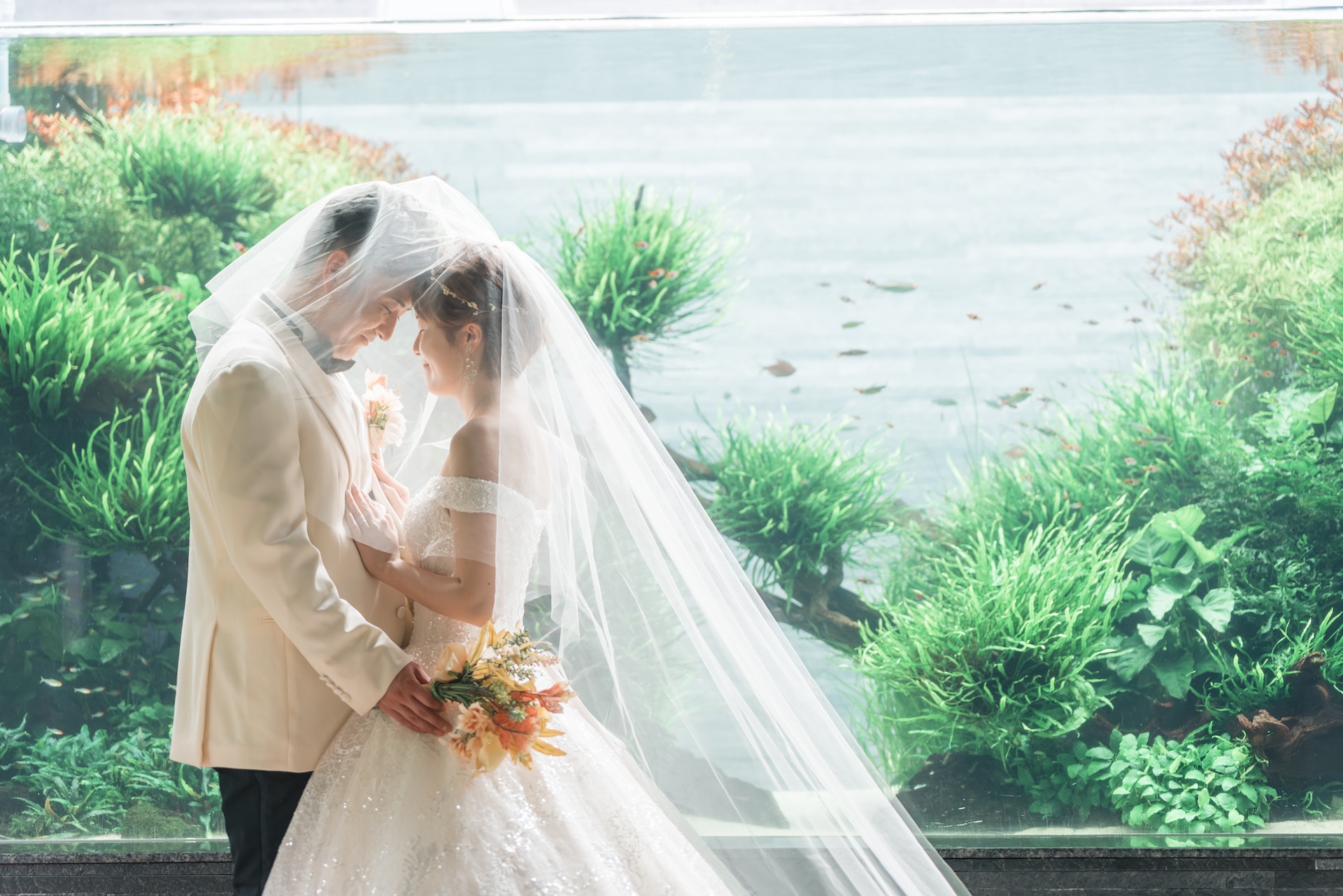 おすすめポイント