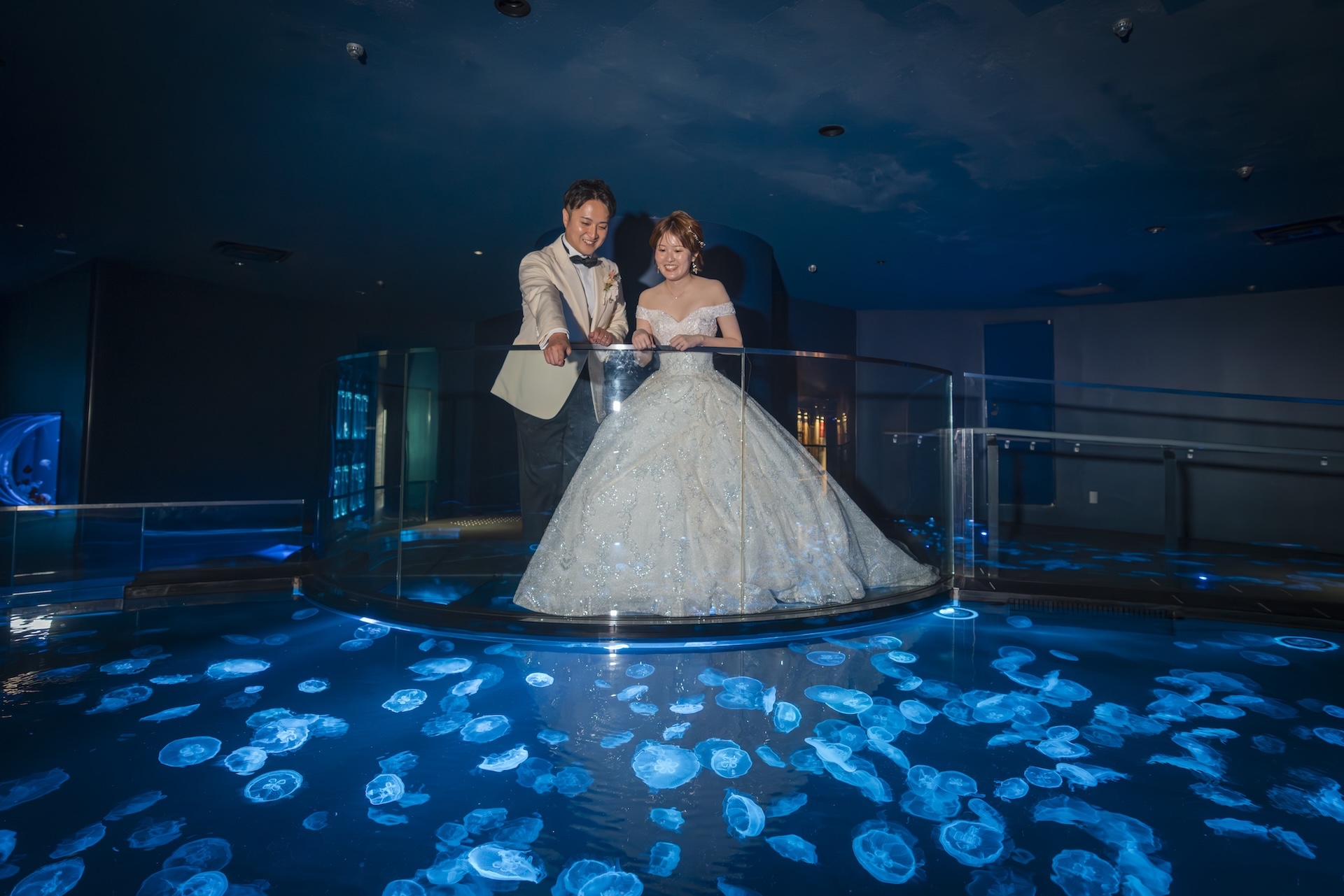 おすすめポイント